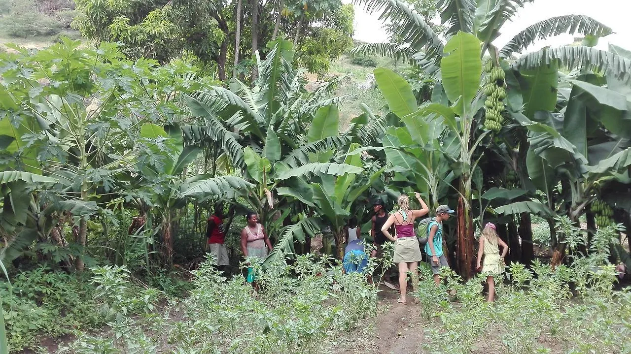 Villa Sao Jose Pedra Badejo