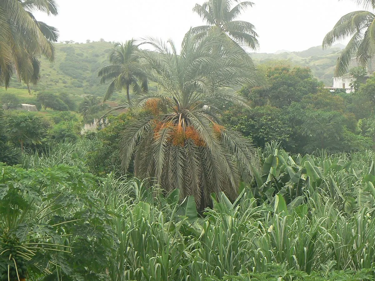 Alojamento de Acomodação e Pequeno-almoço Villa Sao Jose Pedra Badejo